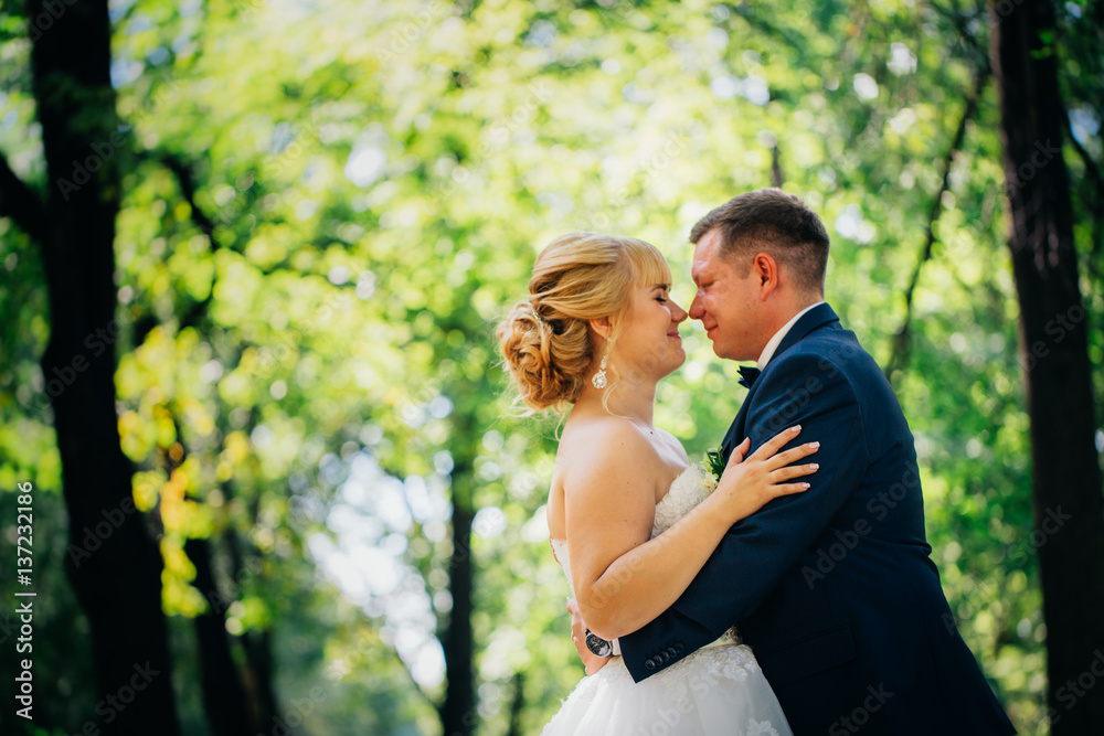 couple bride and groom on the background of the park's trees couple bride and groom on the background of the park's trees