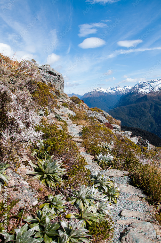 Routeburn Track in winter