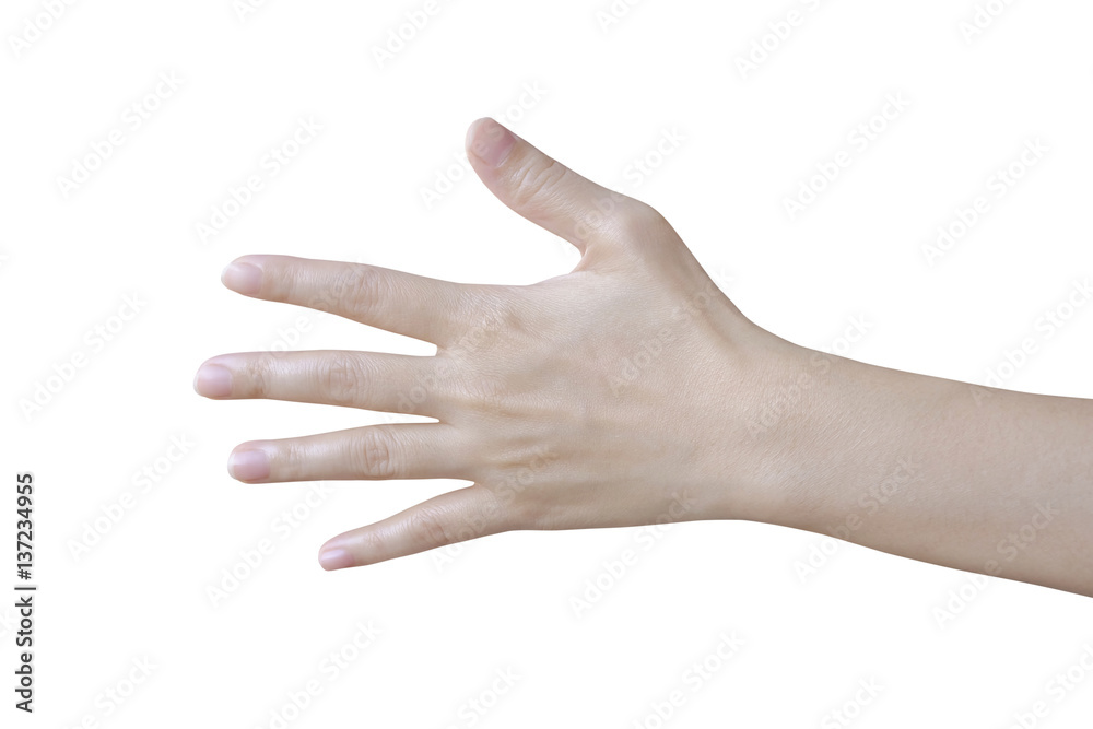 Woman hand isolated on white background Woman hand isolated on white background