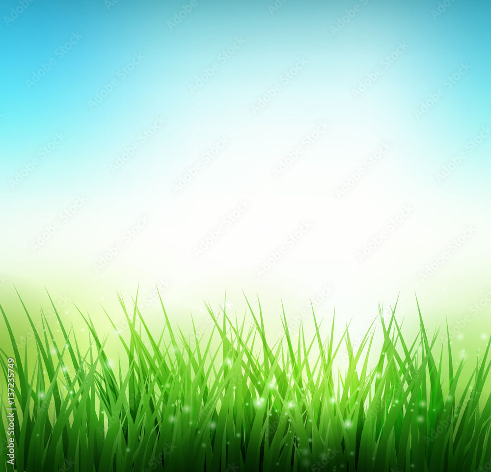 Natural green grass background