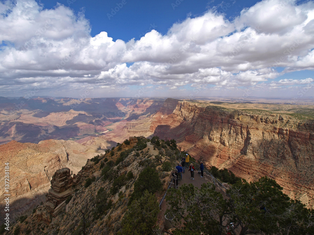 The Grand Canyon