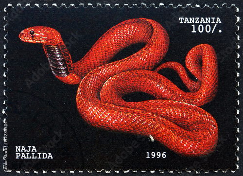 Postage stamp Tanzania 1996 Red spitting cobra, snake