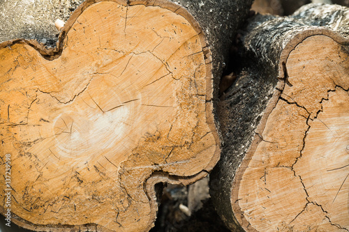Stack of logs, Natural wooden background