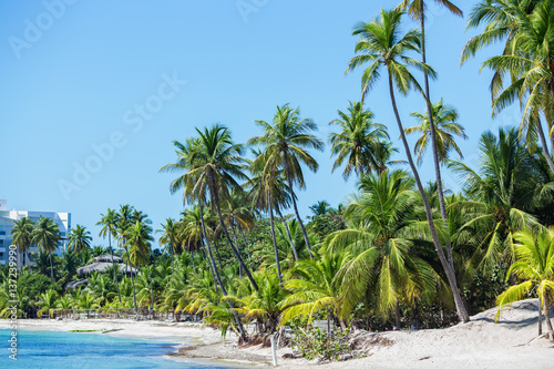 the most beautiful tropical beach. Clear water, blue sky, greem palm trees, white sand.