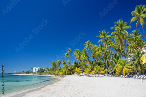 amazing tropical beach Playita  Dominican Republic. Blue ocean  white sand  palm trees