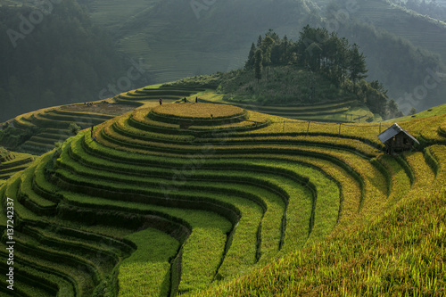 Beautiful rice terraces Vietnam © JKLoma