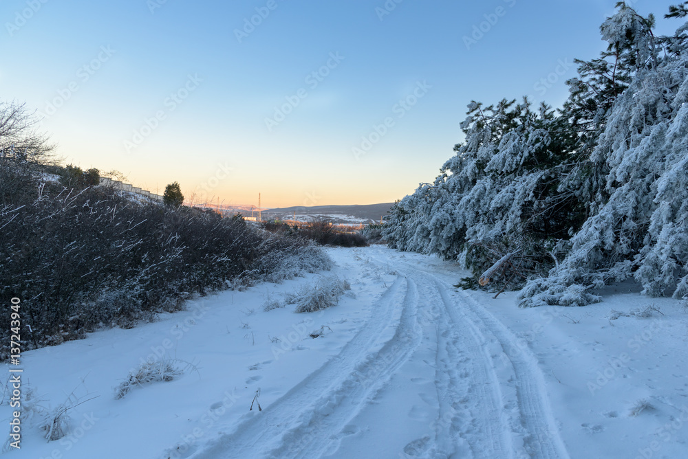 sunset winter forest, road sunset winter forest, road
