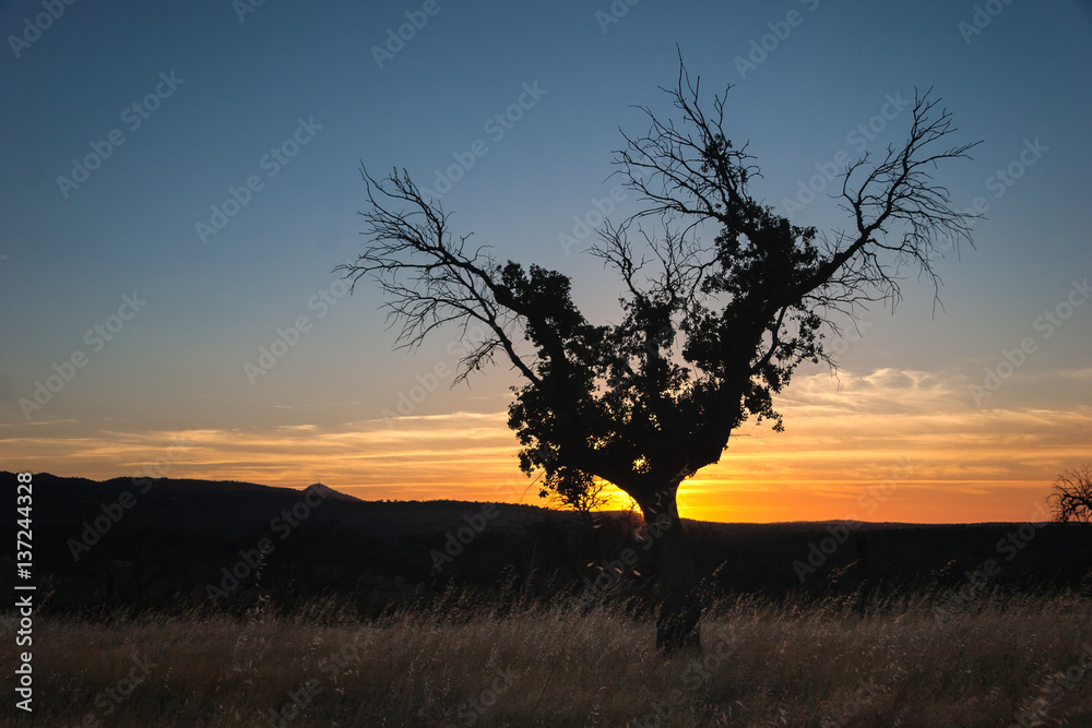 Puesta de Sol Puesta de Sol