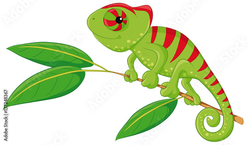 Niedliches Chamäleon  Vektor-Illustration