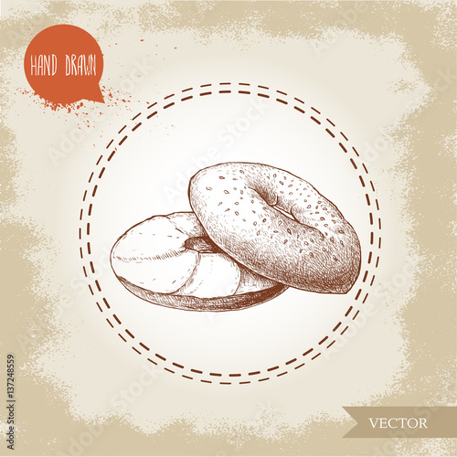 Hand drawn sketch style sesame bagel with cream cheese. Daily fresh bakery illustration. Vintage drawing of fresh breakfast.