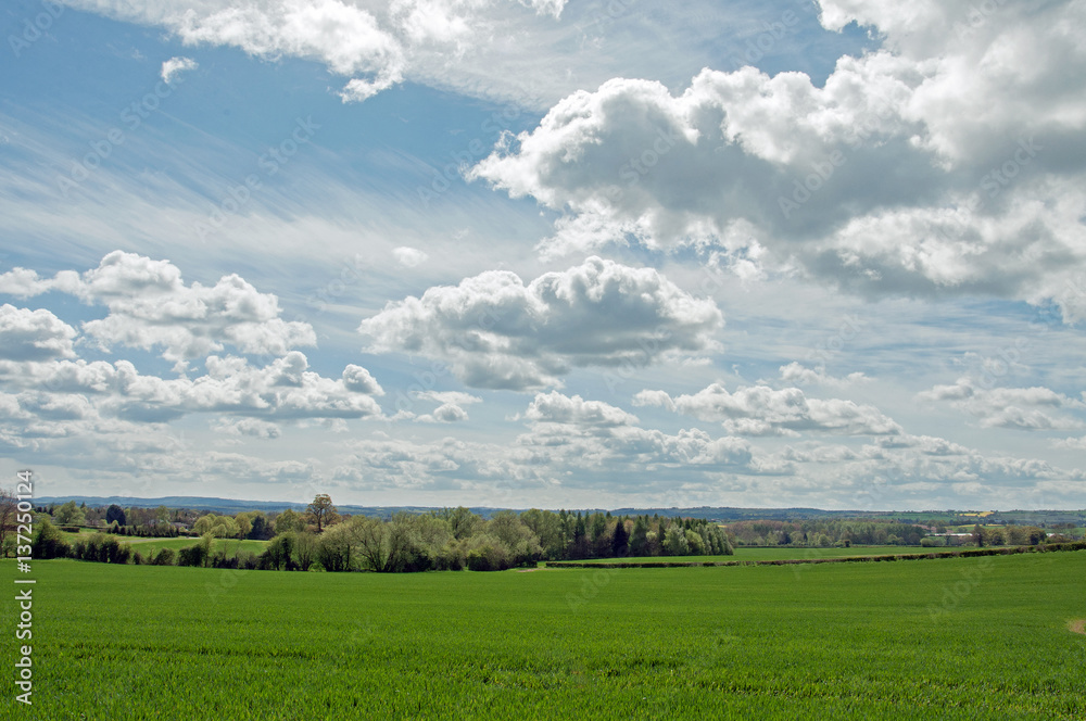 Obraz premium English summertime landscape and agricultural scenery.