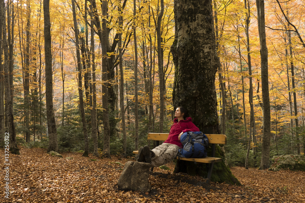 Autumn peace Autumn peace