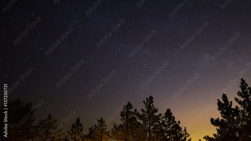 Astro Timelapse of Starry Sky & Moonrise over Forest Campground -Long Shot- Astro Timelapse of Starry Sky & Moonrise over Forest Campground -Long Shot-