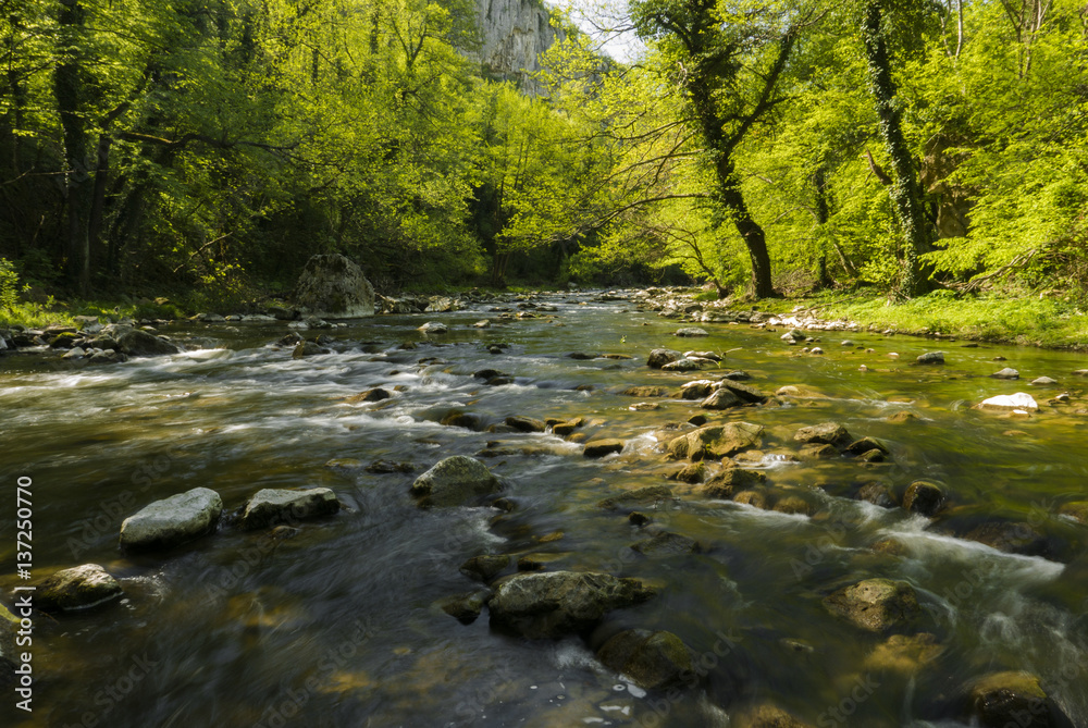 Fresh river Fresh river