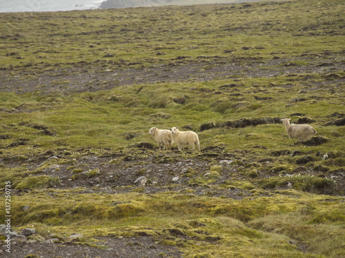 Iceland