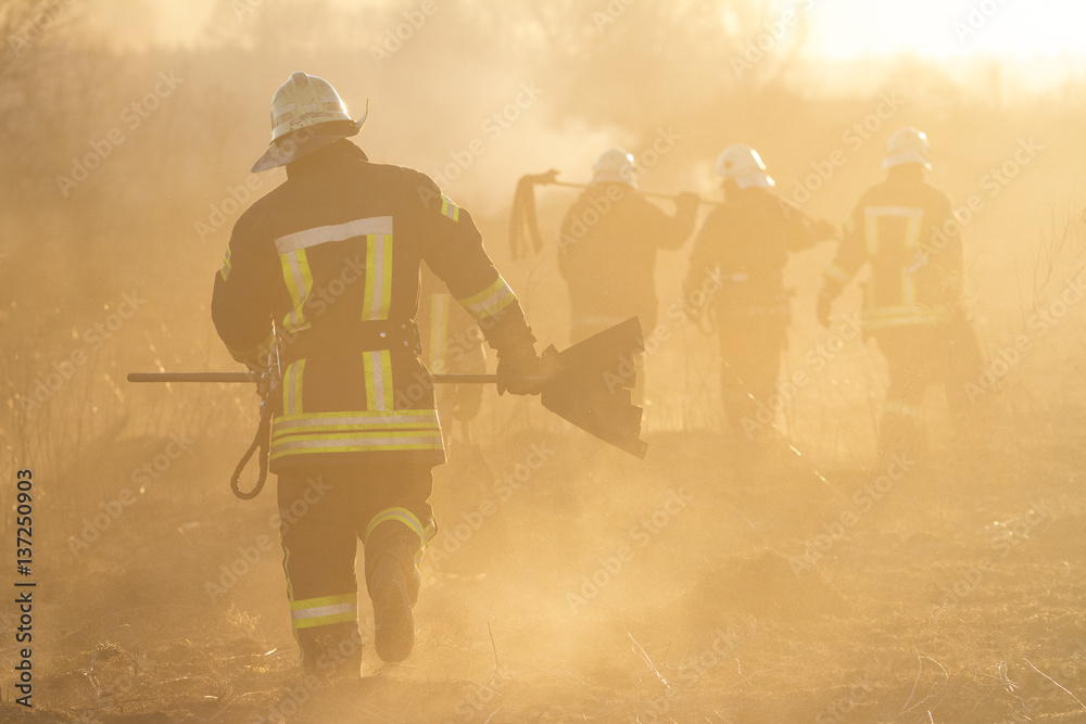 Fototapeta premium firefighters battle a wildfire