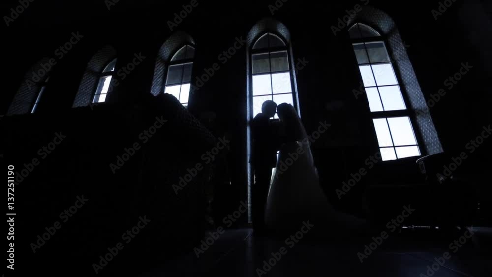 Bride and groom in a palace Bride and groom in a palace