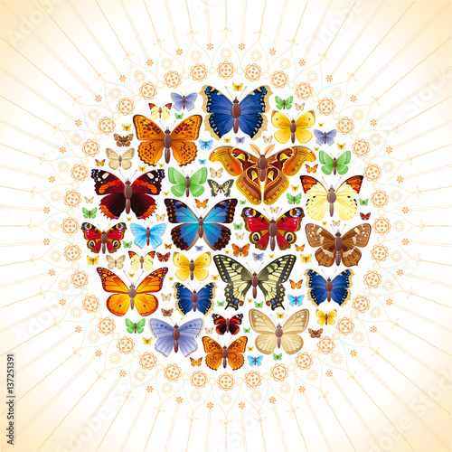 Vector illustration of insects icons set. Abstract modern concept with mandala ornament and natural symbols - atlas moth, peacock, admiral, swallowtail butterflies. Template animal collection