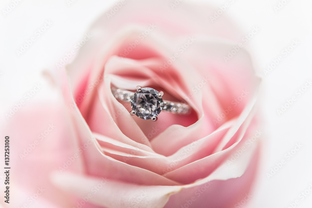 Obraz premium wedding rings with pastel pink rose