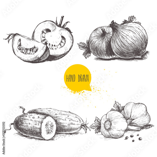 Hand drawn sketch style vegetables set. Sliced tomatoes, onions, cucumbers and garlics. Vintage fresh farm market food illustration.