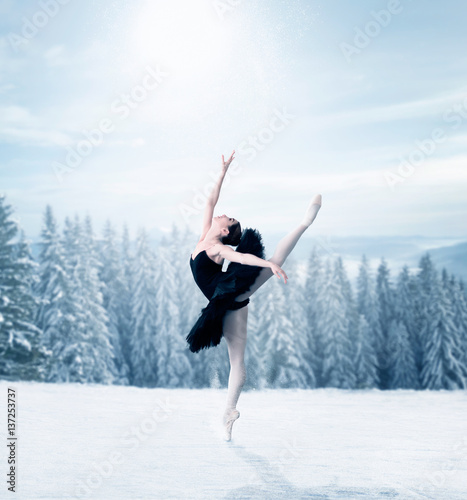 Graceful female ballet dancer stretching