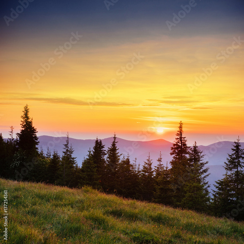 Fototapeta Naklejka Na Ścianę i Meble -  Beautiful summer mountain landscape. Dramatic scene. Carpathian,
