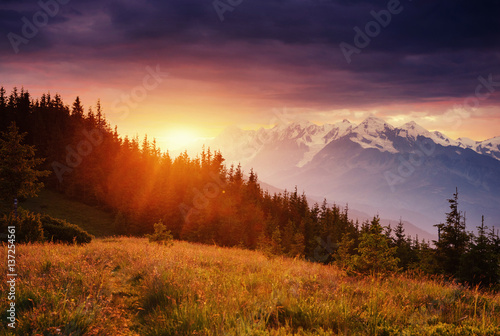 Beautiful summer mountain landscape. Dramatic scene. Carpathian,