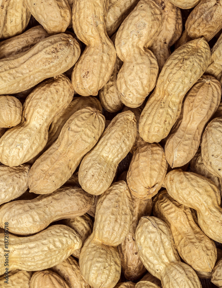 Peanuts in shell texture background. Peanuts in shell texture background.