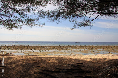 Fototapeta Naklejka Na Ścianę i Meble -  Gili Trawangan white sandy beaches and blue sky, with trees in foreground