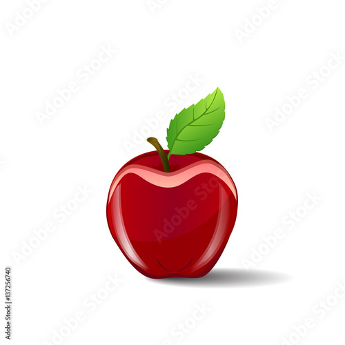 Red apple on white background  vector illustration