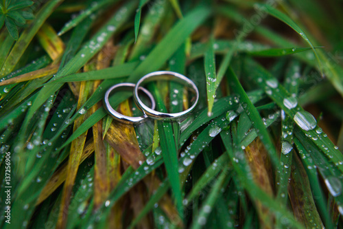 Wedding rings laying on green grass
