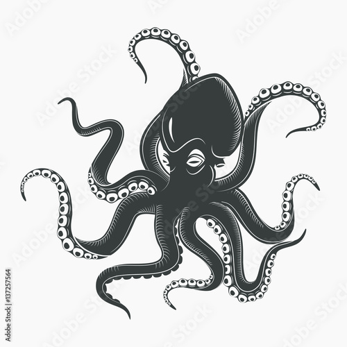 Octopus tattoo or squid marine mascot
