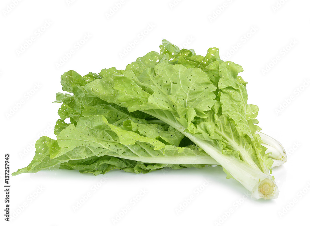 fresh green lettuce leaves isolated on white fresh green lettuce leaves isolated on white