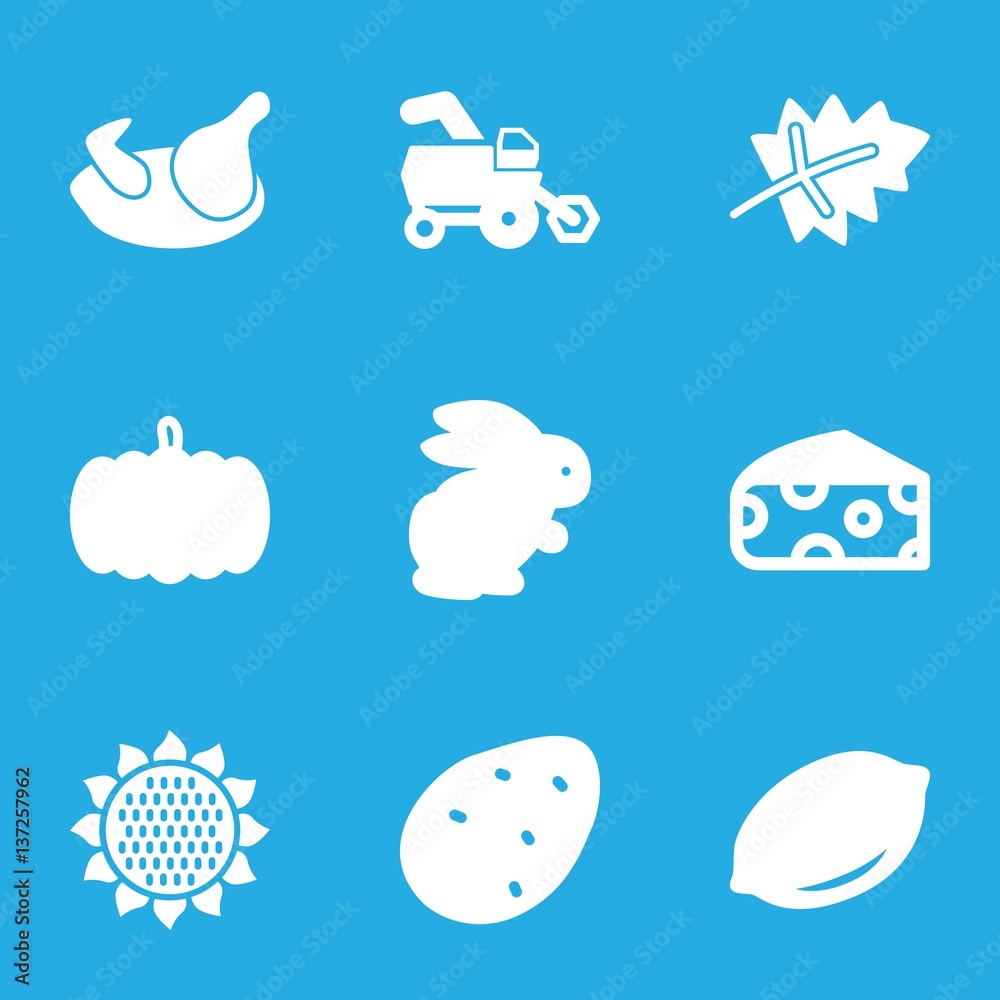 Set of 9 Agriculture filled icons Set of 9 Agriculture filled icons