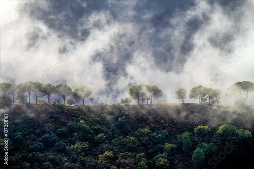 Spanien - Andalusien - Nebel in Ronda © rudiernst
