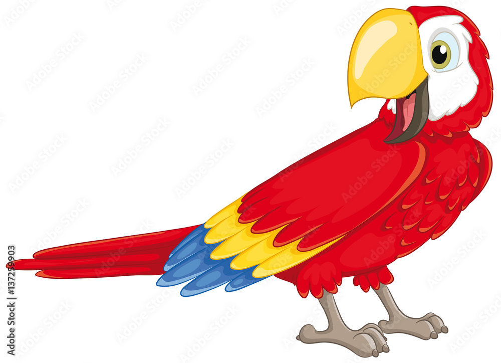 Fototapeta premium Ilustracja wektorowa ładny papuga