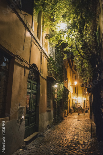 Street in Rome - night view.