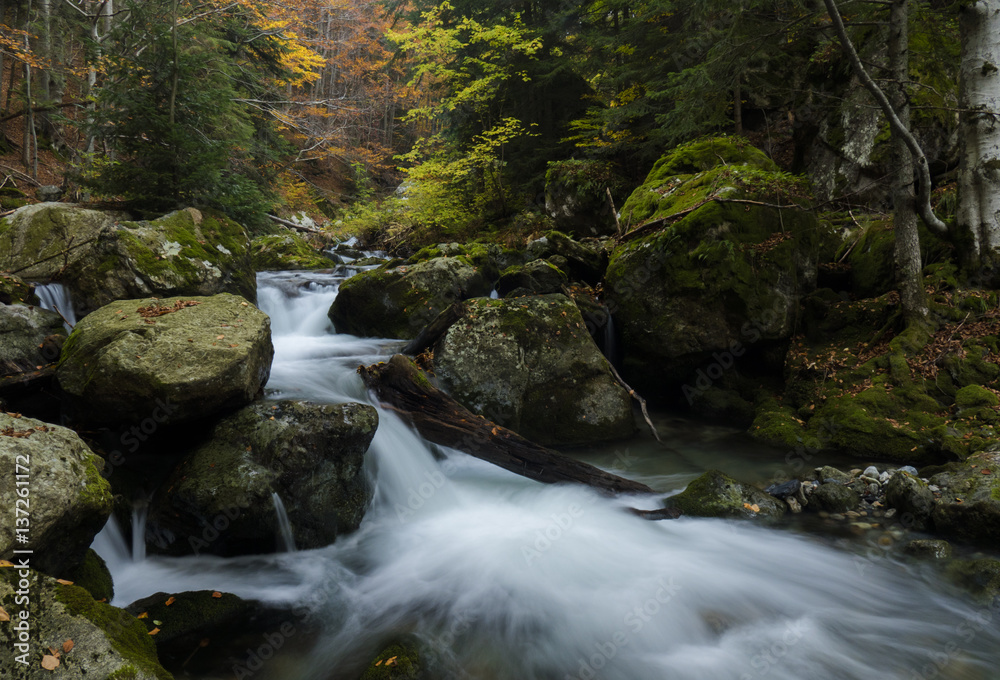 Wild autumn Wild autumn