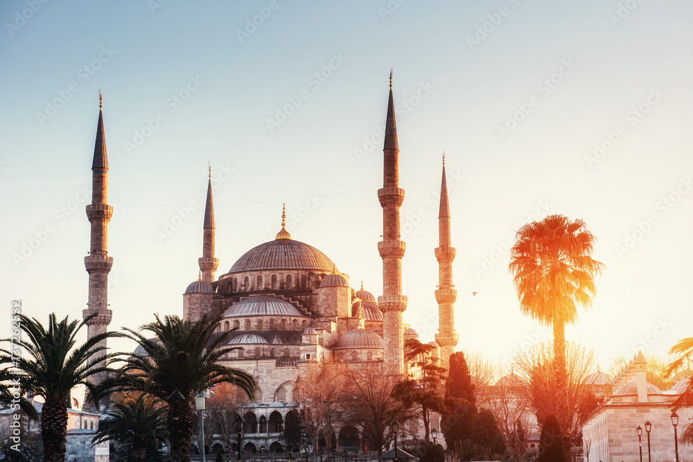 Naklejka premium Oświetlony meczet sułtana Ahmeda przed wschodem słońca