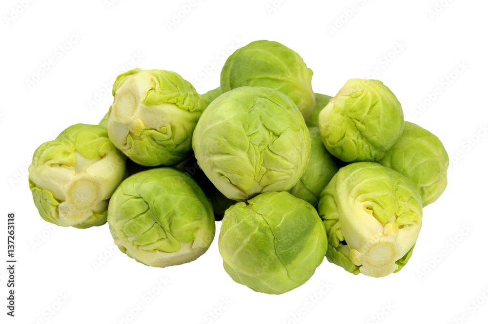 Fototapeta premium Sprouts