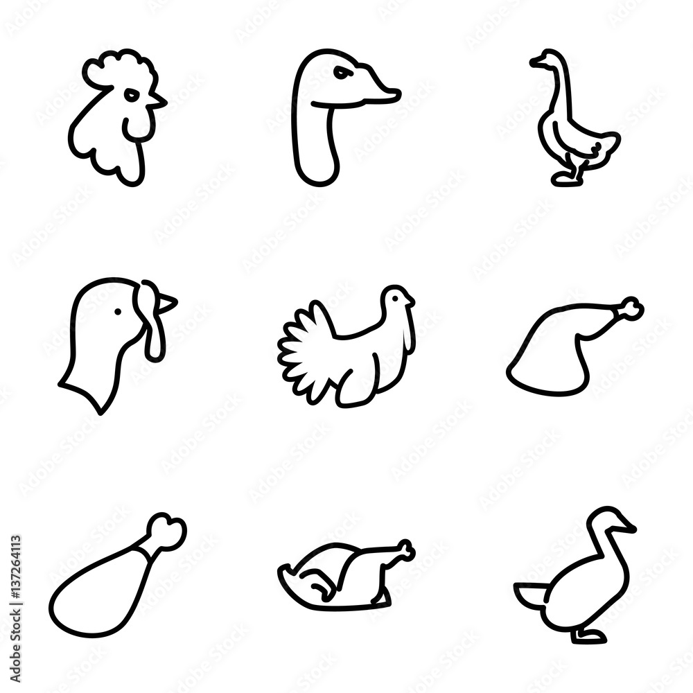 Set of 9 poultry outline icons