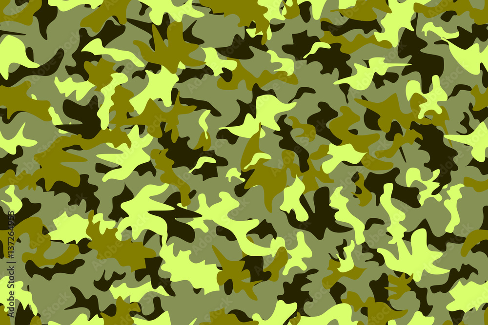 Camouflage seamless pattern Camouflage seamless pattern