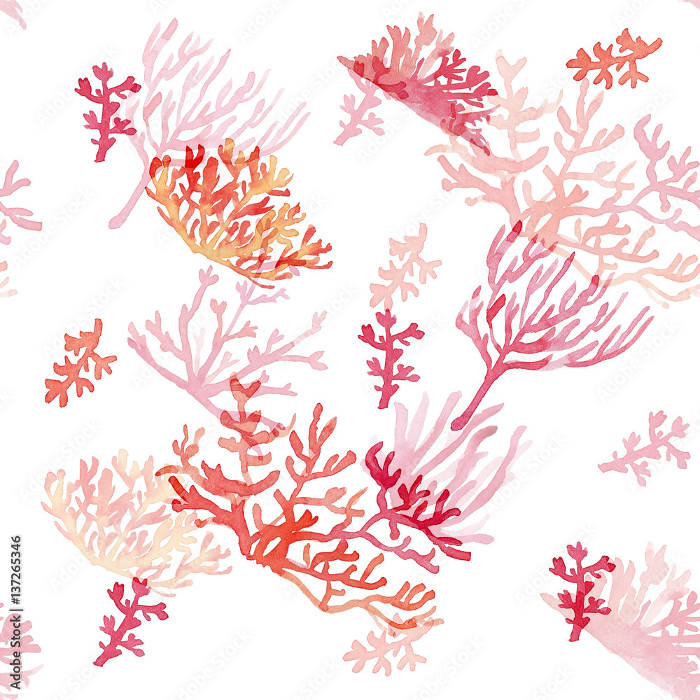 Pink, red corals on white background. Seamless pattern. Watercolor illustration Pink, red corals on white background. Seamless pattern. Watercolor illustration
