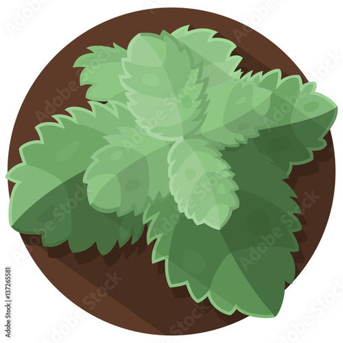 mint leaves vector artwork on isolated white background