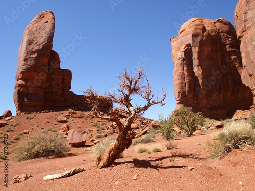 Pano