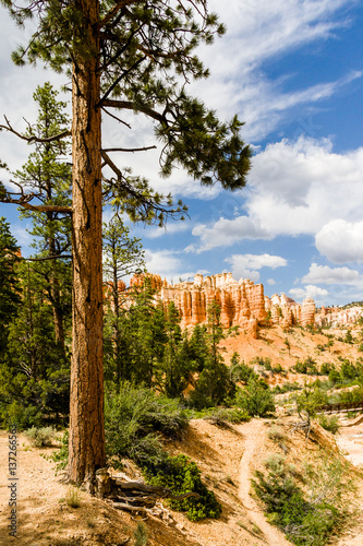 Bryce Canyon, Tropic Ditch, UT, USA