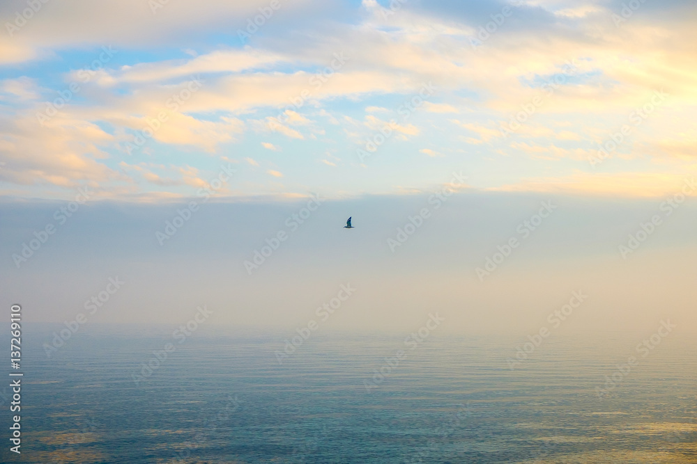 lonely bird flying on blue calm sea with blue sky