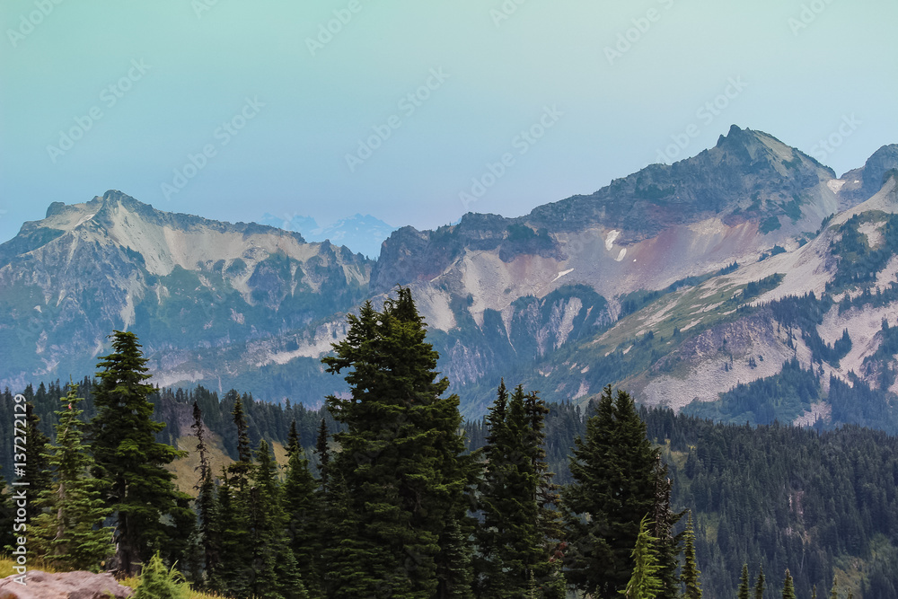 Landscape of Trees and Mountains Landscape of Trees and Mountains