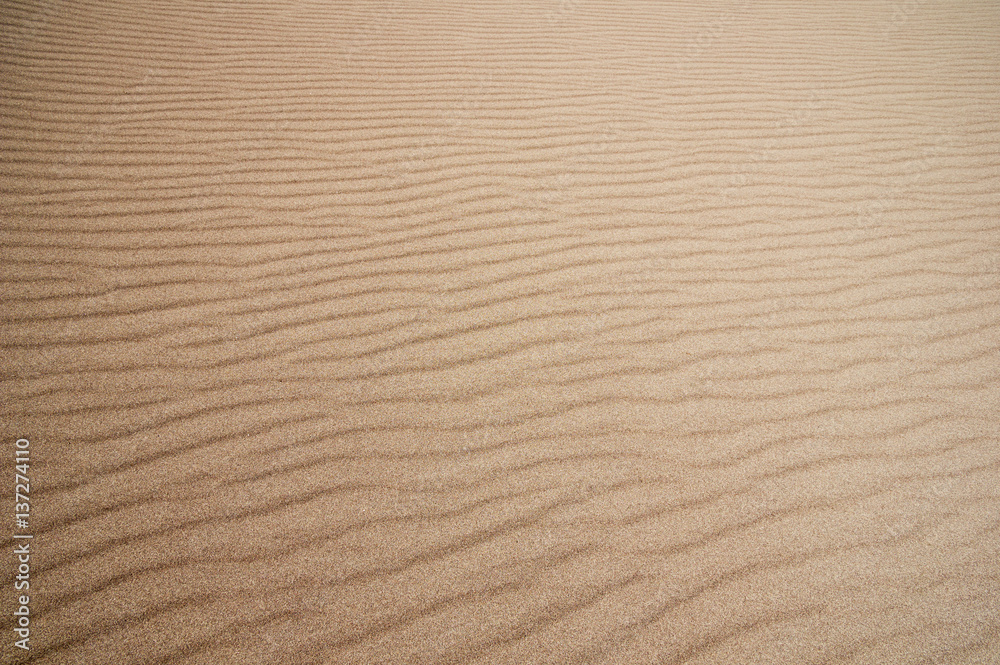 Sand Ripples Sand Ripples