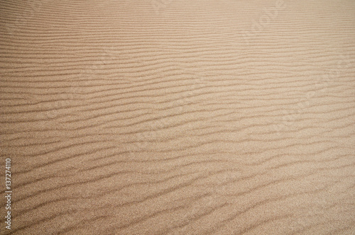 Sand Ripples